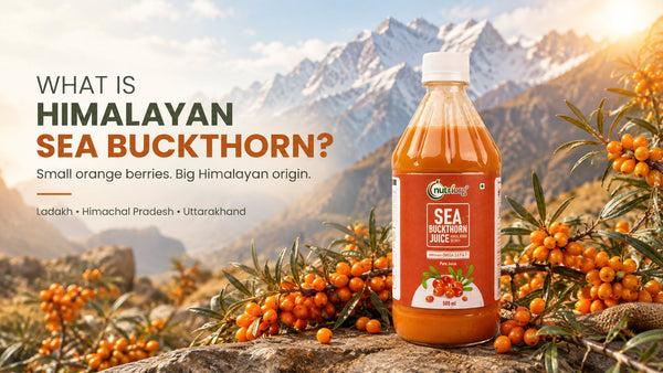 Original Sea Buckthorn Juice: 7 Ways to Spot Fake Juice