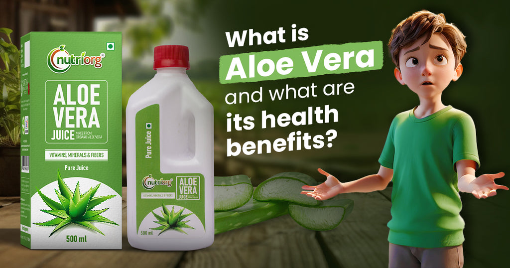 What is Aloe Vera, And What Are Its Health Benefits