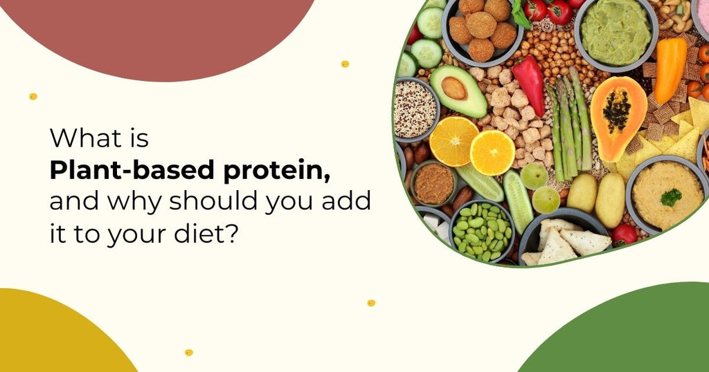 What is plant-based protein?
