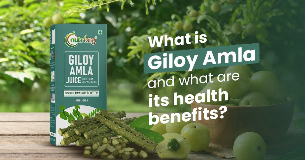 What is Giloy Amla, and What Are Its Health Benefits?