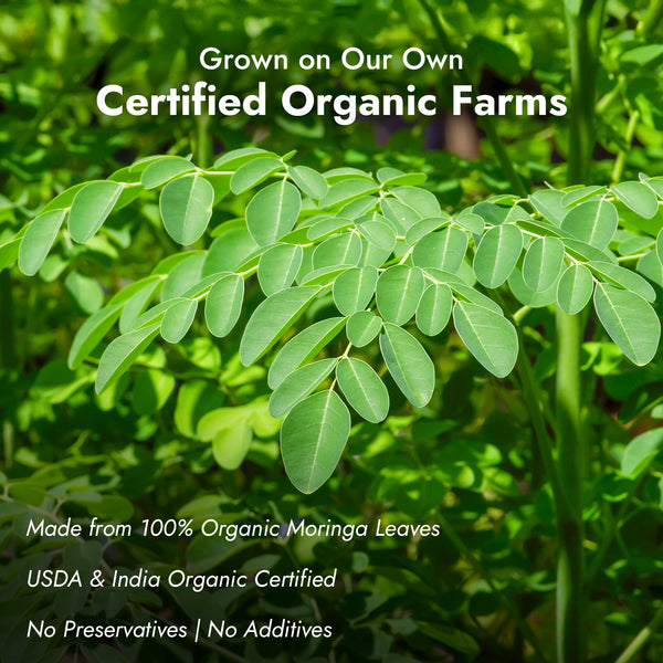 Moringa Powder