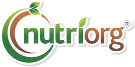 Nutriorg - Best Organic Food Products In India