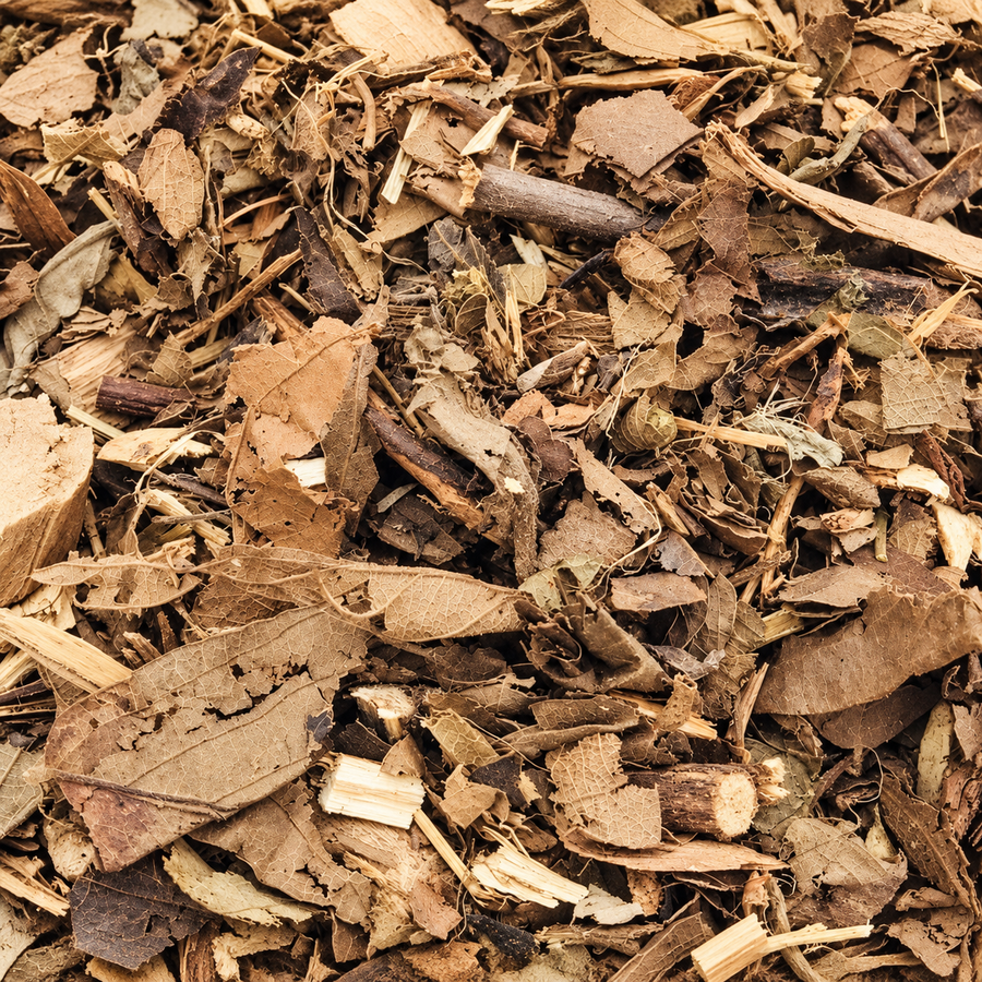 Dashmool & Classical Herbs
