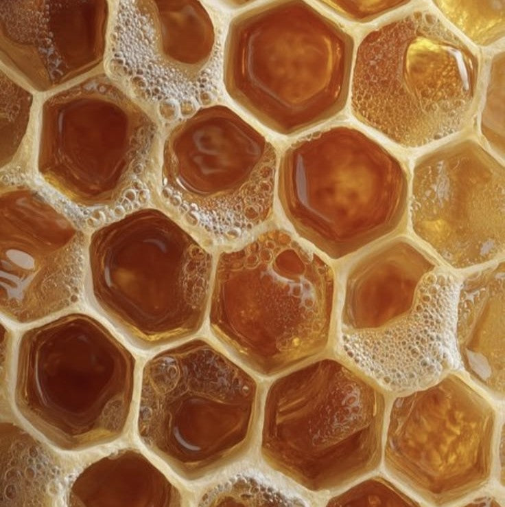 Natural Enzymes & Minerals