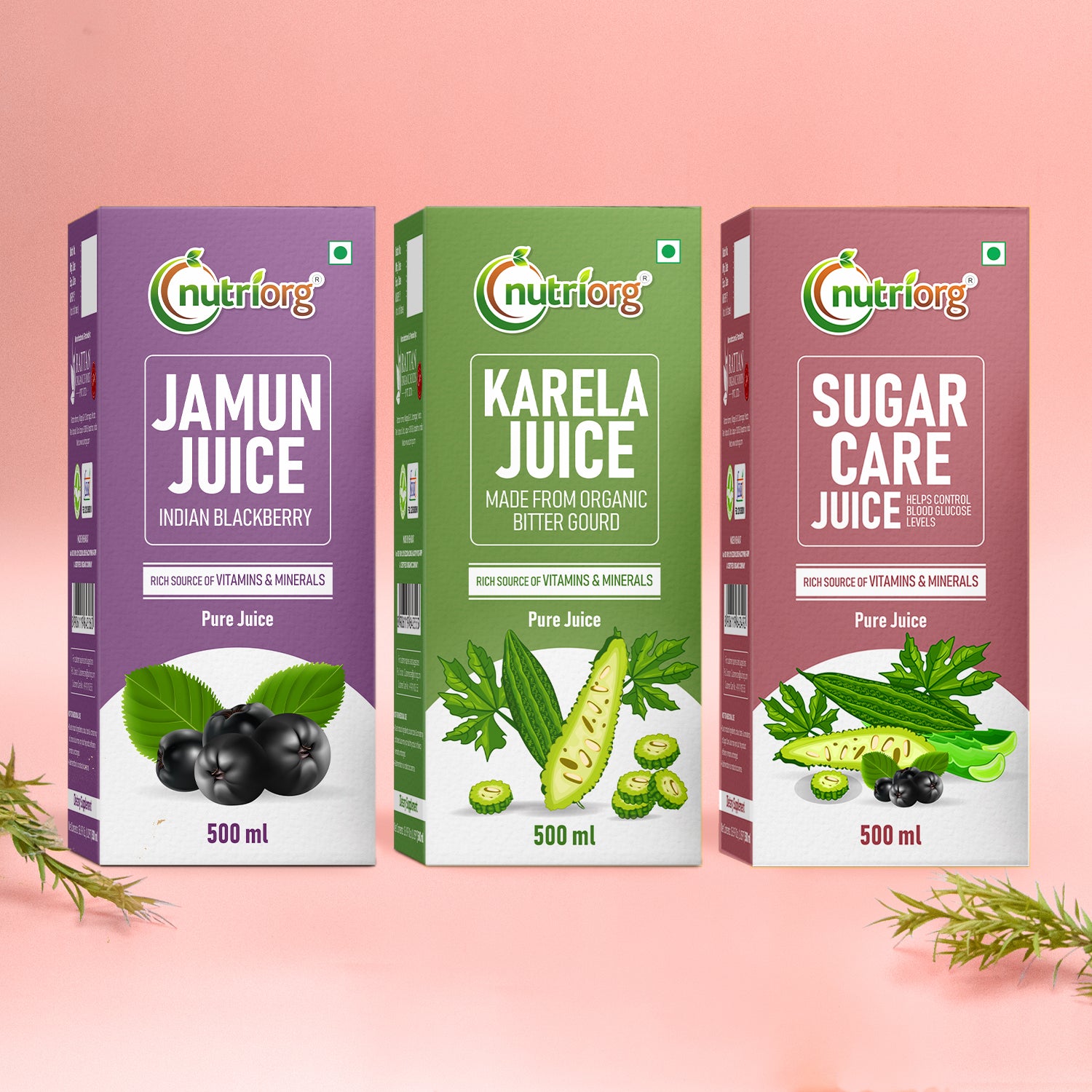Nutriorg Sugar Care, Karela & Jamun Juice 1500ml (Pack of 3*500ml)