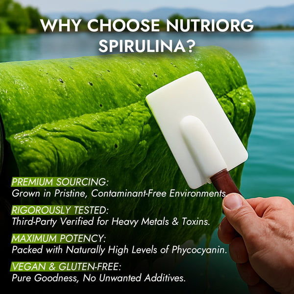 Spirulina Powder