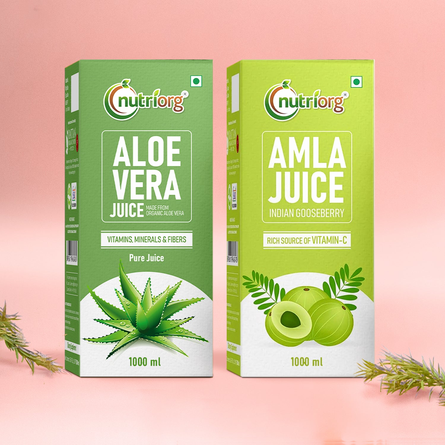 Nutriorg Amla & Aloe Vera Juice 2000ml (Pack of 2*1000ml)