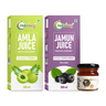 Electrolyte Booster Combo (Amla Juice 500ml, Jamun Juice 500ml, Free Honey 50g)