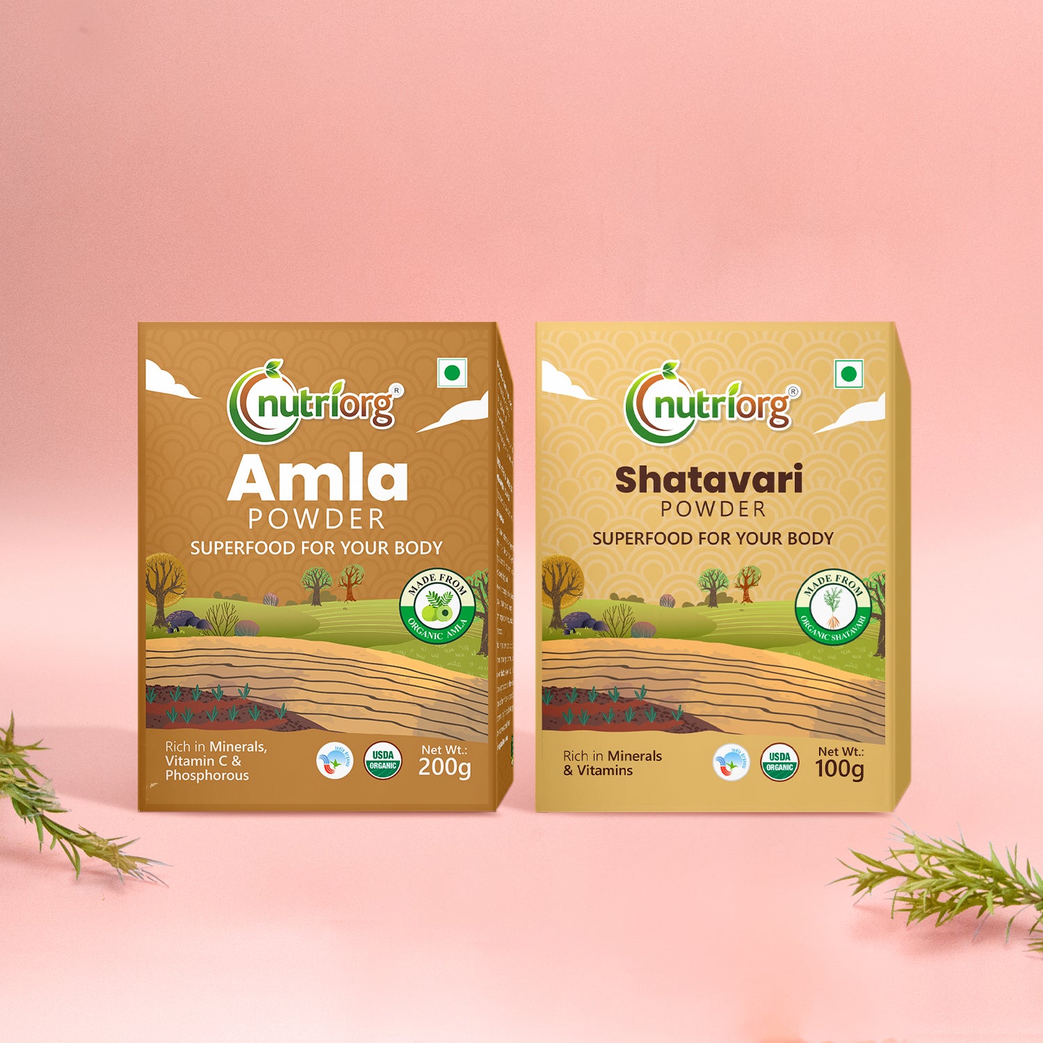 Nutriorg Organic Amla Powder 200g with Shatavari Powder 100g (Combo of 2)