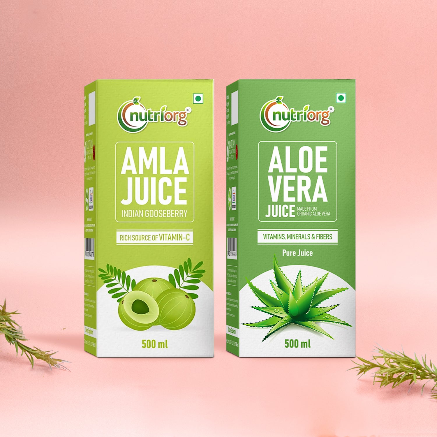 Nutriorg Amla & Aloe Vera Juice 1000ml (Pack of 2*500ml)