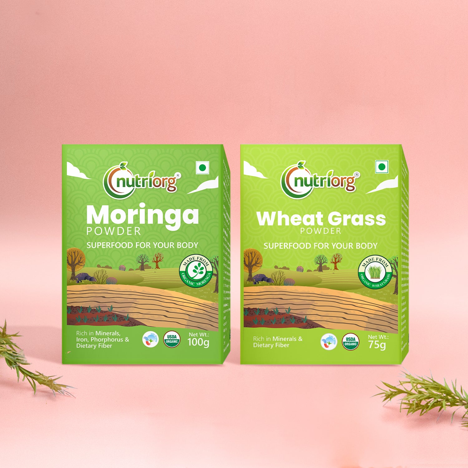 Nutriorg Certified Organic Wheatgrass powder 75g with Moringa Powder 100g (Combo of 2)